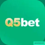 Q5Bet Game